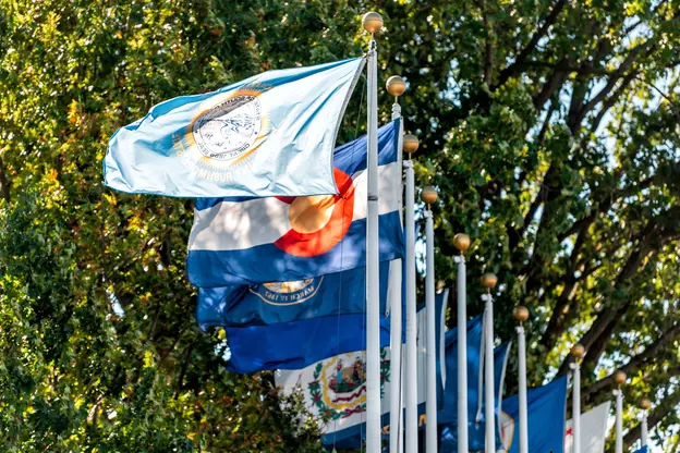 flags from different states